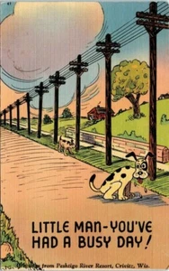 1940s Wisconsin Postcard Funny Dog Comic Peshtigo River Resort Crivitz WI  - Picture 1 of 2