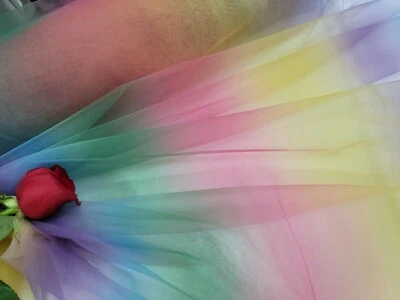 Multi color Tulle Fabric By The Yard Rainbow Italian Tulle Striped Clothing  - Image 1 of 4