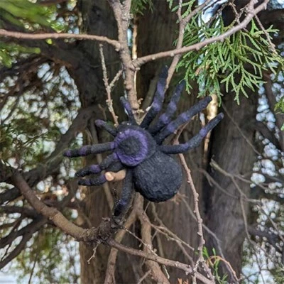 Large Suede Spider Geocache Container - Imagen 1 de 4