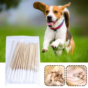 50-100 Dog Ear Cotton Buds 12cm Long Extra Large | Pet Cleaner Bamboo USS - Picture 1 of 14