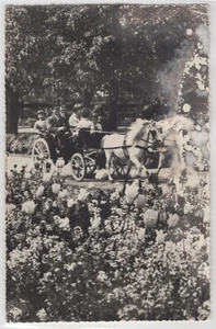White Pony Ride at the London Zoo Flowers In Bloom RPPC Real Photo Postcard - Picture 1 of 2