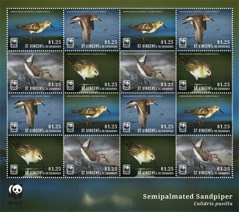 St. Vincent 2014 - WWF Sandpiper Bird, Animal, Nature - Sheet of 16 Stamps - MNH Cover