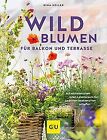 Wildblumen für Balkon und Terrasse: Mit einheimisch... | Buch | Zustand sehr gut