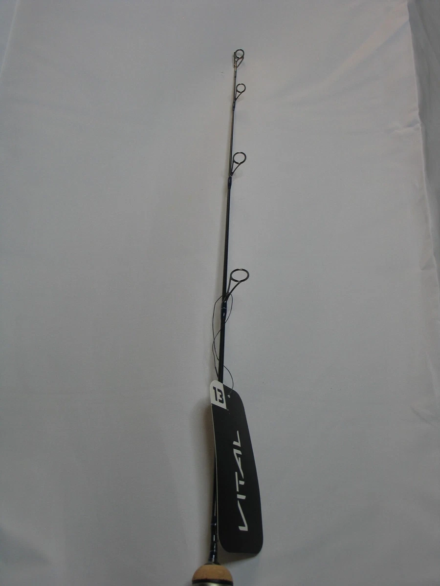 ヘラブナ ヘラ竿 RYOBI 天水竿 十一 11尺 専用ケース付き ヘラブナ