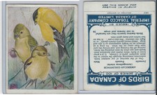 C2 Imperial Tobacco, Birds Of Canada, 1920's, #58 American Goldfinch