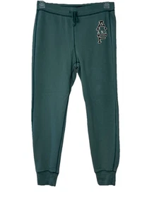 Abercrombie And Fitch Sweat Pants Joggers Sz Small Greenish Blue Raised Letters - Picture 1 of 13
