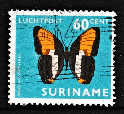 60c "Series - Local Moths and Butterflies - Smooth Banded Sister" Surinam 1972 - Image 1 of 2