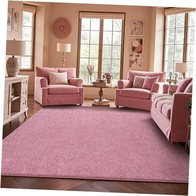 Alfombra de área para sala de estar, alfombras antideslizantes para dormitorio de niñas, 4x6 pies lavable  Foto 1 de 4