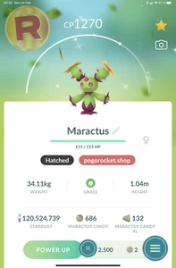 Shiny Maractus Regional Go Reg or 1M FAST TRADE - Imagen 1 de 2