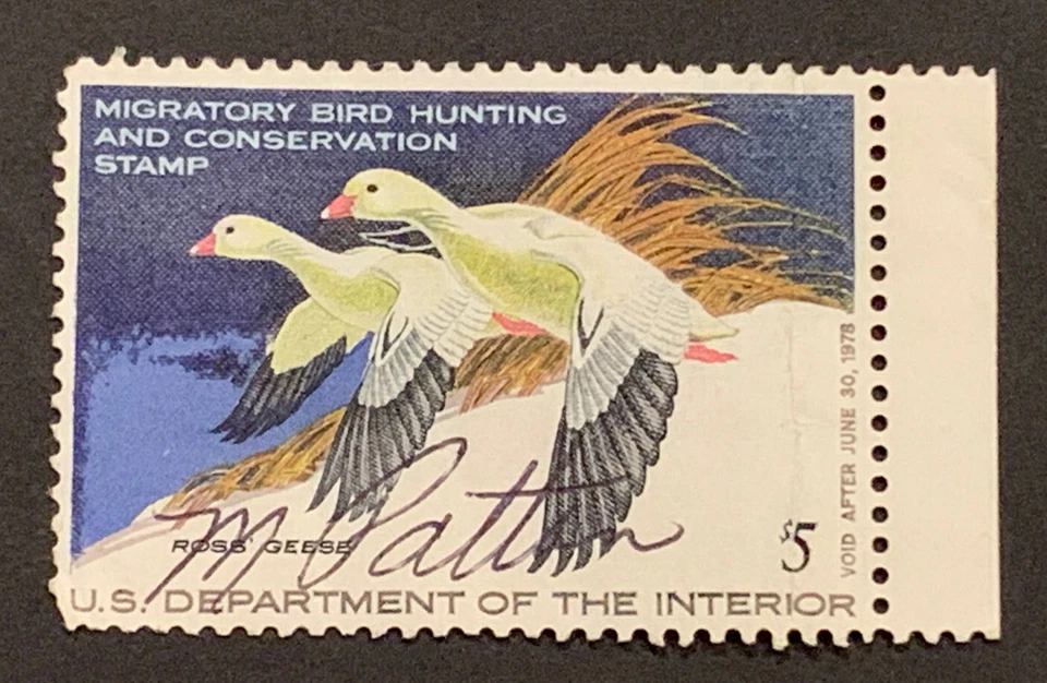 Travelstamps: US Stamps Scott  #RW44 $5 Ross' Geese Used Signed 1977 - Image 1 of 4
