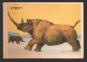 Rhinoceros card From Israeli Animals Cards Set, By Tamar 1960's judica - Picture 1 of 2