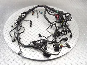 Ducati Scrambler 800 2016 15-18 motor principal arnés cable telar OEM - Imagen 1 de 14