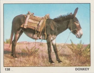 Top Sellers Card - Animals of The World - Card No 138 - Donkey - Picture 1 of 2