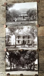 3 photos Nossi-Bé, Madagascar, fin xixème. - Picture 1 of 17