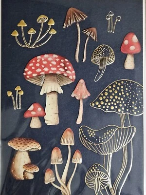 PAPYRUS 3D PSYCHEDELIC MUSHROOM MUSHROOMS BLANK ALL OCCASIONS CARD - Image 1 of 3