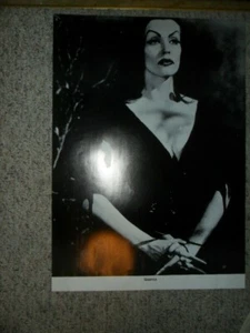 Vampira 1950's TV Horror Host 17"x24" B&W POSTER Nice Stock Paper SCI-FI EX COND - Picture 1 of 2