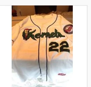 Wanted Max Kepler game used Jerseys Bats Gloves Milb mlb Twins minor leagues - Picture 1 of 1