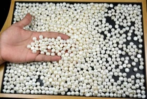 1000 Ct./ Australian White Pearl Loose Gemstone Lot Natural Round Cut Certified - Picture 1 of 4
