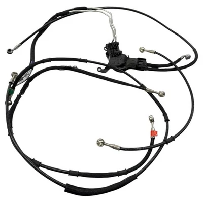 Juego de mangueras ABS Ducati Monster 1200 R 2017-2019 líneas traseras delanteras mangueras OEM Foto 1 de 4