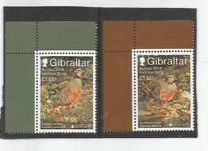 Gibraltar Europa 2019 especies de aves autóctonas nuevas - Imagen 1 de 1