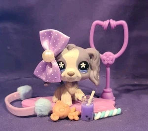 Autentico Littlest Pet Shop LPS #672 Cocker Spaniel cane viola fiore bianco - Foto 1 di 8