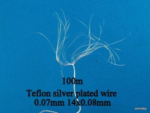 100m  0.07mm2 29AWG SILVER PLATED  HIGH PURITY  COPPER TEFLON WIRE FOR AUDIO - Picture 1 of 2