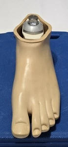 prosthetic foot. Left, size 26, excellent condition. - Picture 1 of 5