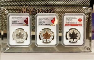 3 Grid ANACS/NGC/PCGS Crystal Acrylic Display Frame Protector w Integrated Stand - Picture 1 of 11