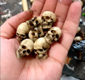 Actionfigur Totenkopf Modell menschliches Skelett Szene Zubehör Display Spielzeug im Maßstab 1:12 - Bild 1 von 6