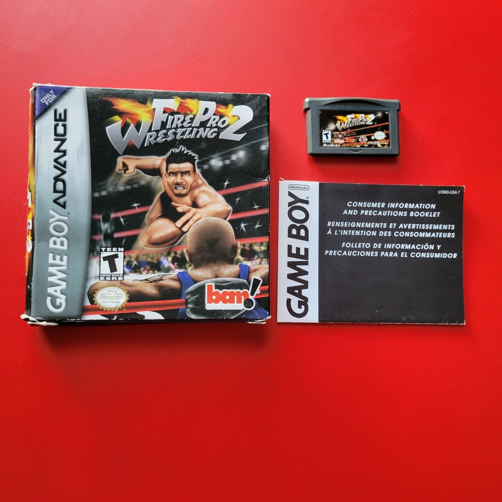 Fire Pro Wrestling 2 Value - GoCollect (gameboy-advance-fire-pro ...