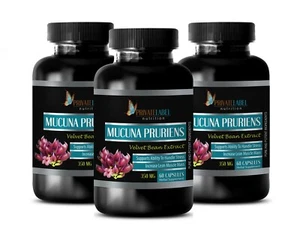 energy boost supplement - MUCUNA PRURIENS VELVET BEAN Pruriens Testosterone 3BOT - Picture 1 of 10