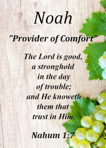 Tarjeta de significado de nombre de recuerdo de Noé "Proveedor de consuelo" con versículo bíblico - Imagen 1 de 1