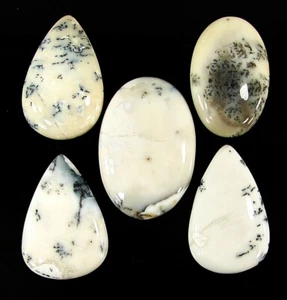 137.80 Ct Natural Dendrite Dendritic Opal Loose Gemstone Cab 5 Pcs Lot - 1587 - Bild 1 von 4