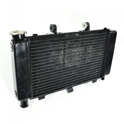 YAMAHA FZ FZ6 FZ6-S RJ07 Fazer radiador radiador de agua solo 12809 km Foto 1 de 4