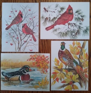 John Cornacchio - Lot of 4 -Northern Cardinal Wood Duck Pheasant Blank Note Card - Picture 1 of 9