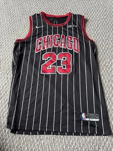 Camiseta MICHAEL JORDAN CHICAGO BULLS PIN RAYA Auténtica Nike 54 XXL Zenni - Imagen 1 de 5