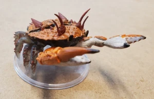 Emissary of Thassa 27/45 - D&D Miniature Prepaint - Picture 1 of 3