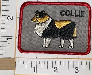 1 RARE VINTAGE 1970'S COLLIE EMBLEM CREST PATCH - Photo 1/1