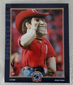 Foto de mascota de Herbie Nebraska Cornhuskers 8""x10"" NCAA (2007) - Imagen 1 de 6