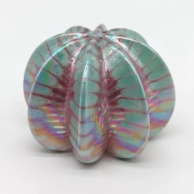 Peso de papel de vidro ouriço-do-mar soprado à mão Craig Holt Trout Studios Virginia assinado - Imagem 1 de 4