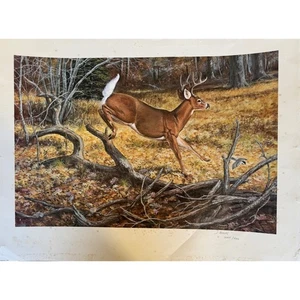 Signed J. Brooks Whitetail Deer Limited Edition Print 2664/4000 Wildlife art - Picture 1 of 2