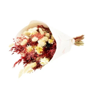 Dried Bouquet Red and White Natural Flower Oats Mix 50cm/20 Inches Tall - Picture 1 of 1