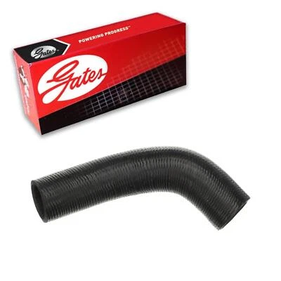 Manguera de refrigerante de radiador Gates inferior para Mercury Sable 2001-2005 3L V6 GAS DOHC Foto 1 de 4