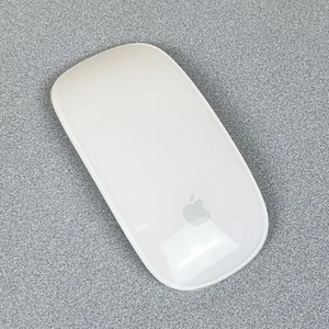 Apple Magic Mouse A1296 3VDC Wireless OEM AA Battery Tested Working - Imagen 1 de 5