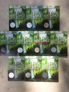 Hatchet class set by Gary Paulsen Newbery Guided Reading 10-book lot - Bild 1 von 3