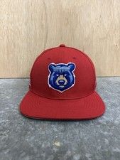 MiLB Tennessee Smokies Red SnapBack Adjustable Baseball Hat