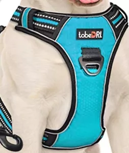 TobeDRI Collar Arnés Ajustable Reflectante Azul Grande Perro Sin Tirar - Imagen 1 de 4