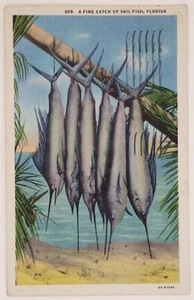 Vintage Linen Postcard Fishing "A Fine Catch of Sail Fish, Florida" Posted 1935 - Picture 1 of 5
