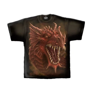 DRAGONS ROAR - T-Shirt schwarz - Bild 1 von 5
