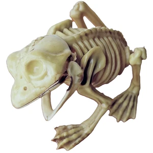 5” Fake Dead Pet FROG SKELETON BONES Amphibian Reptile Halloween Prop Decoration - Picture 1 of 6
